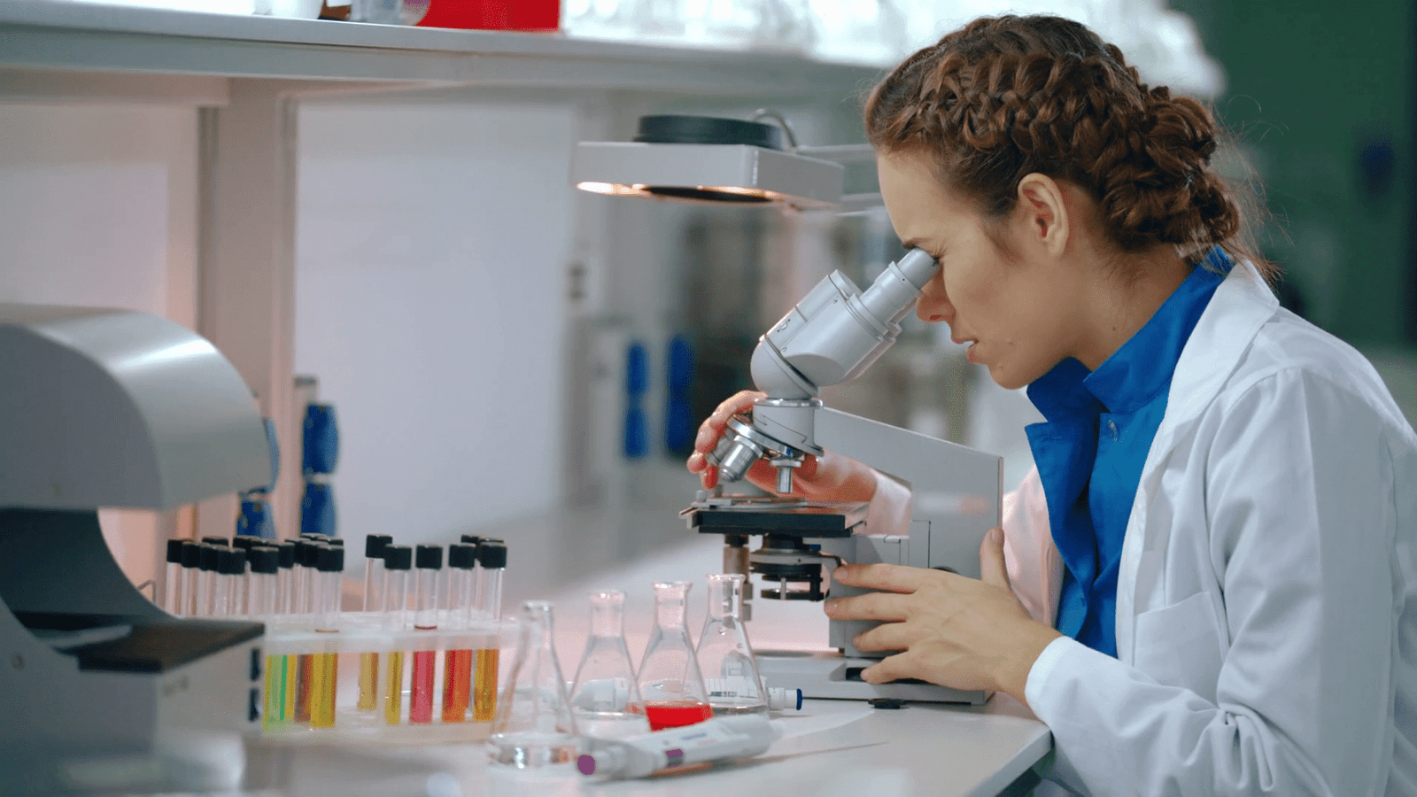 lab